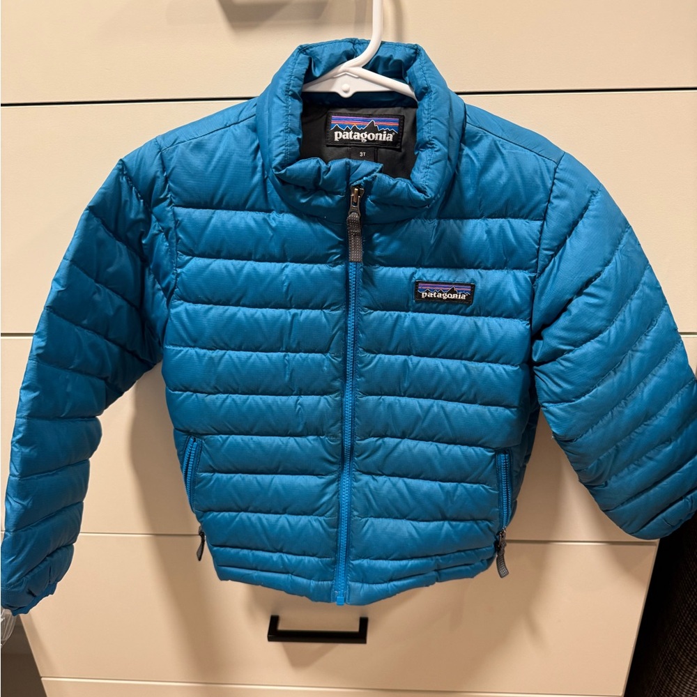 Patagonia Blue Puffer Jacket